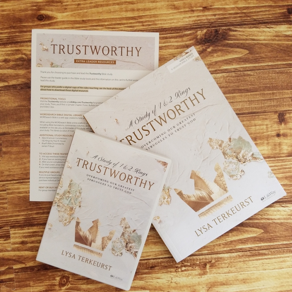 Trustworthy Leader Kit Box DVD Download Bible Study by Lysa TerKeurst Lifeway